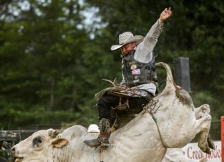 Bulls and broncs: ‘It’s a unique and fun event’
