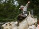 Bulls and broncs: ‘It’s a unique and fun event’