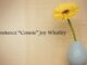 Obituary: Constance “Connie” Joy Whatley