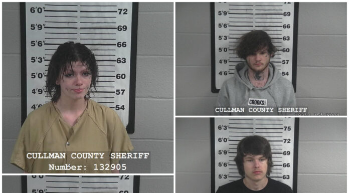 CPD: Multiple arrests in string of car break-ins