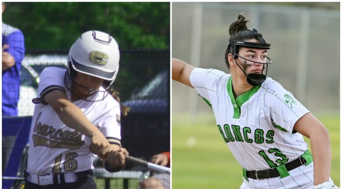 ALL-STATE SOFTBALL: Cullman’ Shannon lands on 6A 1st team; Holly Pond’s Rickman earns 2A 2nd team honors