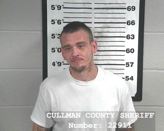 Baileyton man faces 2 capital murder charges in arson, death of Noah ...