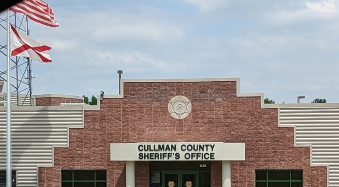 CCSO offers tips to prevent car break-ins