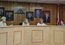 Vinemont announces 4th of July fireworks show