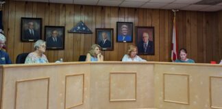 Vinemont announces 4th of July fireworks show