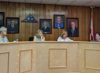 Vinemont announces 4th of July fireworks show