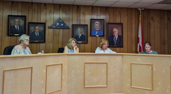 Vinemont announces 4th of July fireworks show