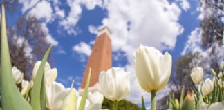 Local students named to UA President’s, Dean’s Lists