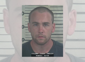 Plea deal, 20 year sentence conclude 2015 rape and sodomy case