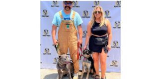 Pups and Pints raises nearly $2.5K
