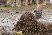 Hot, wet and wild Rock the South 2023