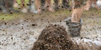 Hot, wet and wild Rock the South 2023