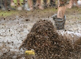 Hot, wet and wild Rock the South 2023