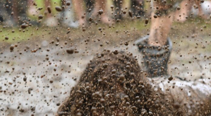 Hot, wet and wild Rock the South 2023