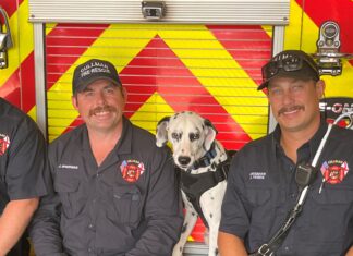 ‘Chief of morale’