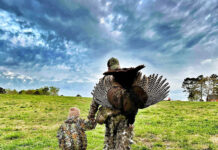 Turkey harvest up; debate continues on population