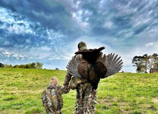 Turkey harvest up; debate continues on population