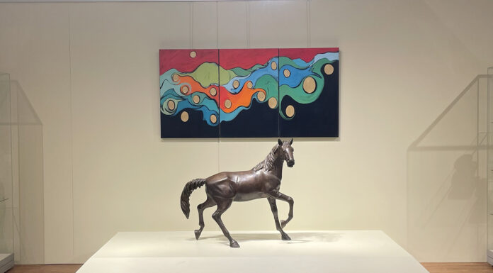 Elizabeth St. John exhibition on display through July 10