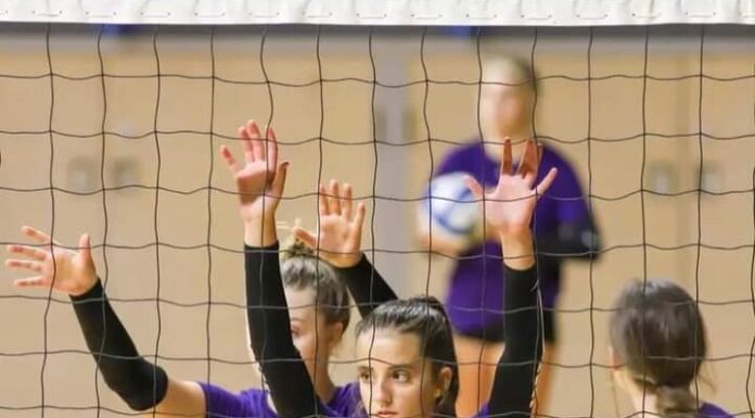 PREP VOLLEYBALL: ‘You can always overcome tough challenges’: Fairview’s Ava Calvarese talks junior season