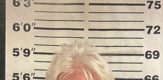 Local CPA arrested for theft of services