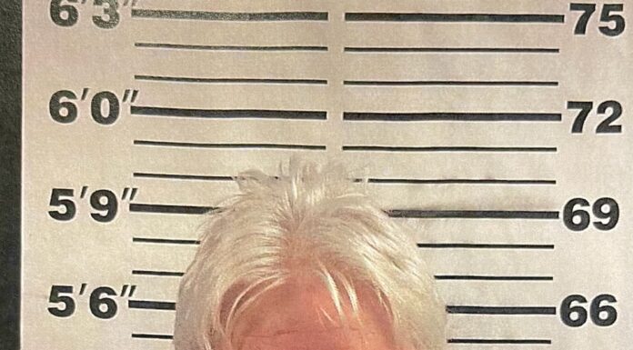 Local CPA arrested for theft of services