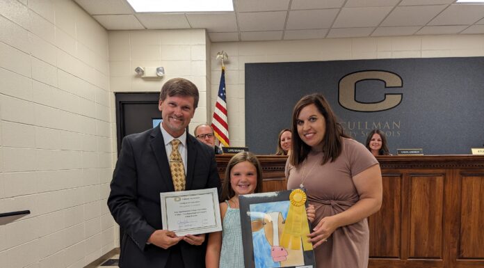 City school board presents strategic plan, recognizes artist