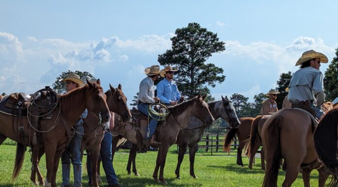 Sullivan Creek Ranch hosts National Day of the Cowboy