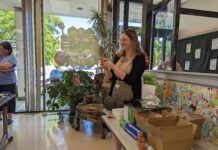 Library hosts annual Harry Potter birthday celebration