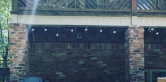 Summer animal safety: What the law says, what vets recommend