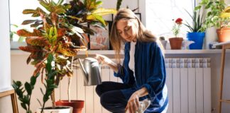 ACES: Choosing safe plants for pets