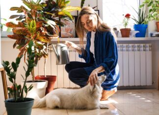ACES: Choosing safe plants for pets