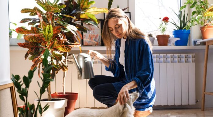 ACES: Choosing safe plants for pets