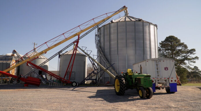 Cullman’s award-winning Haynes Farm to be featured on national TV