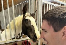 Hope Horses fundraiser: ‘Our goal is to sell 500 plates’