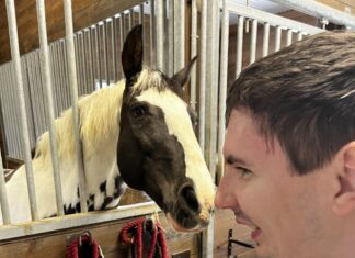 Hope Horses fundraiser: ‘Our goal is to sell 500 plates’