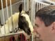 Hope Horses fundraiser: ‘Our goal is to sell 500 plates’