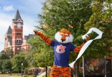 Auburn University announces fans can roll two Auburn Oaks at Toomer’s Corner this fall