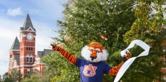 Auburn University announces fans can roll two Auburn Oaks at Toomer’s Corner this fall