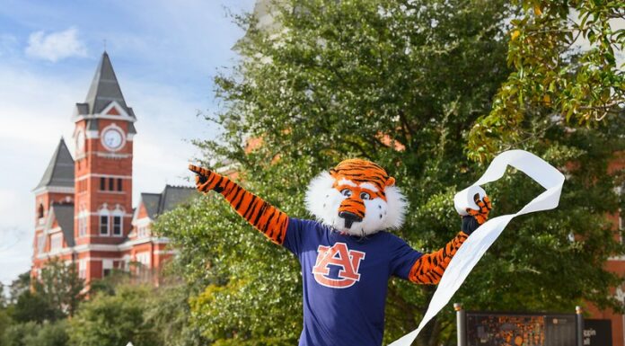 Auburn University announces fans can roll two Auburn Oaks at Toomer’s Corner this fall