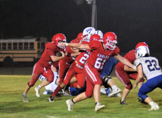 PREP FOOTBALL: Vinemont drops heartbreaker at Falkville 26-20