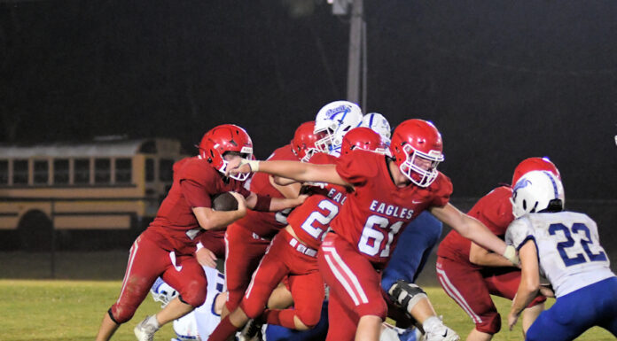 PREP FOOTBALL: Vinemont drops heartbreaker at Falkville 26-20