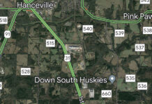 Pedestrian killed by vehicle along U.S. Hwy. 31