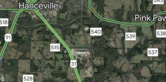 Pedestrian killed by vehicle along U.S. Hwy. 31