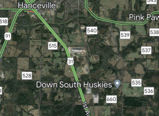 Pedestrian killed by vehicle along U.S. Hwy. 31