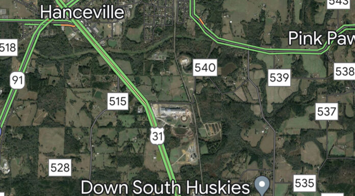 Pedestrian killed by vehicle along U.S. Hwy. 31