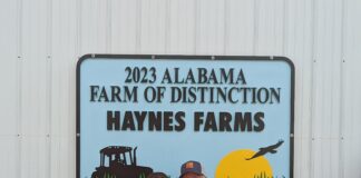 ‘I’m humbled and I’m proud of what we do’