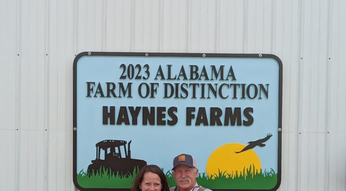 ‘I’m humbled and I’m proud of what we do’