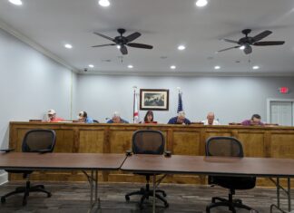 Baileyton talks park cameras, new town monument