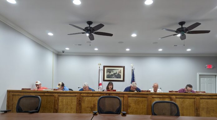 Baileyton talks park cameras, new town monument