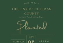 ‘We are planting good seeds daily’